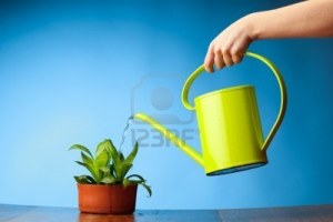 9040461-hand-watering-a-plant-with-watering-can